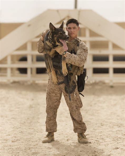 Marine Corps Sentry Dogs