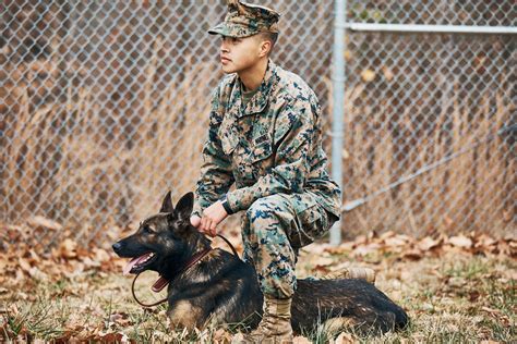 Marine dog handler morale support