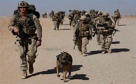 Marine dog handler reconnaissance