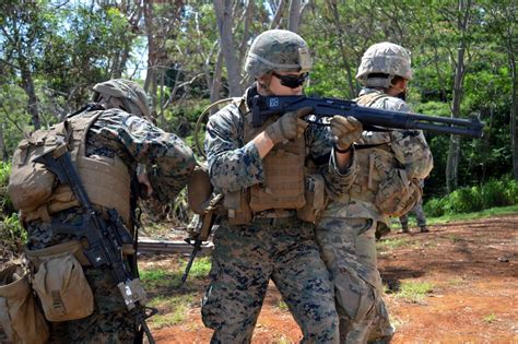 Marines from the 2d Combat Engineer Battalion conduct a breaching exercise in a training environment.