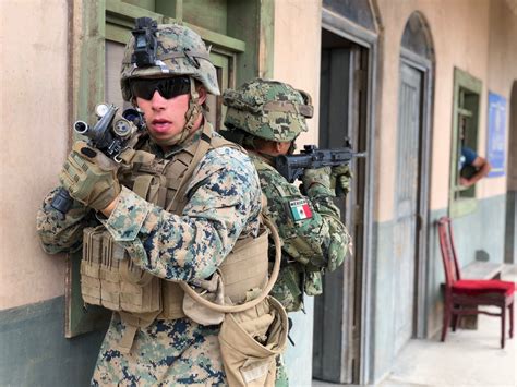 Marine Infantry Urban Warfare