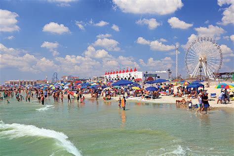 Marine Life in Ocean City NJ