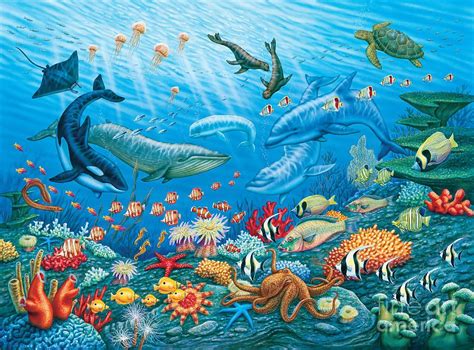 Description of Marine Life Prints