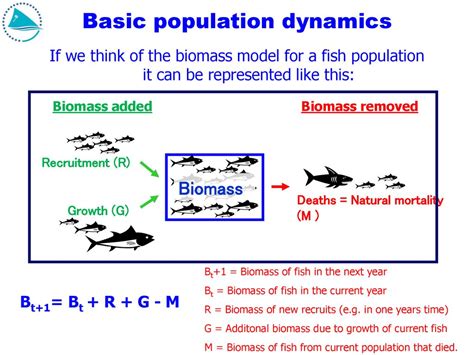 Marine population dynamics