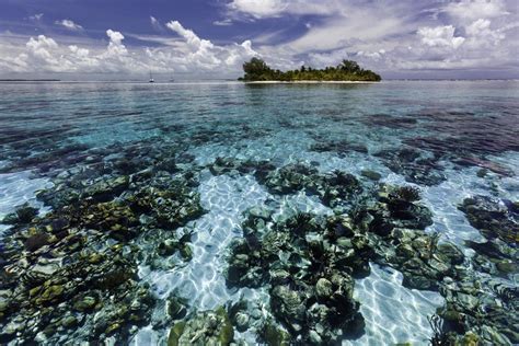 Marine Reserves Heritage