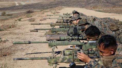 Marine shooter sniper training