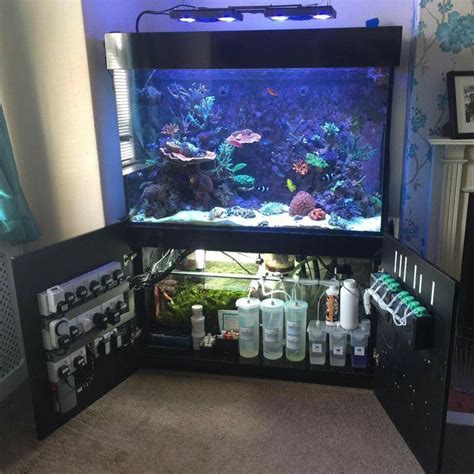 Marine Tanks Setup