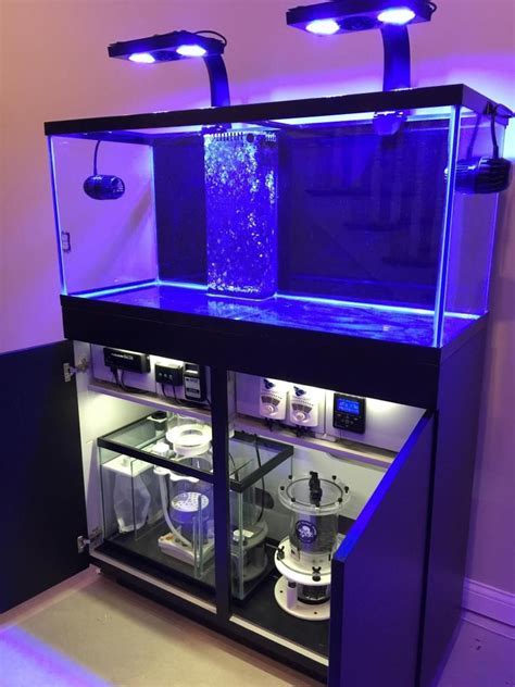 Marine Tanks Setup