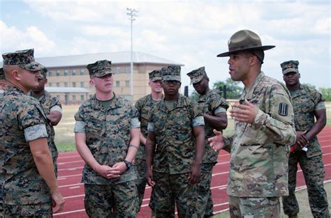 Marine Training vs. Other Branches