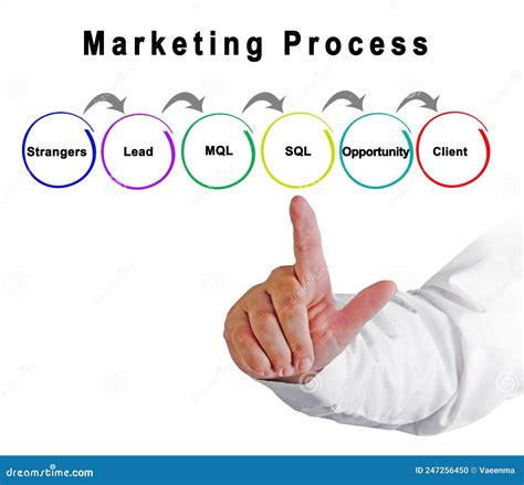 Marketing Components