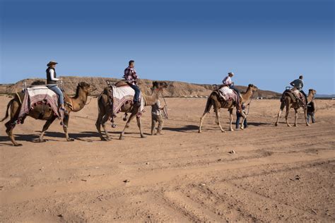 Description of Mesquite Outdoor Activities