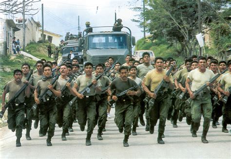 Mexican Counterinsurgency