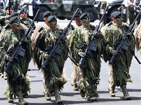 Mexican Military Limitations