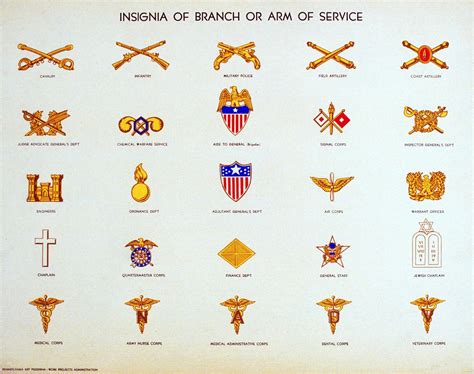 Branches of Military Image 10