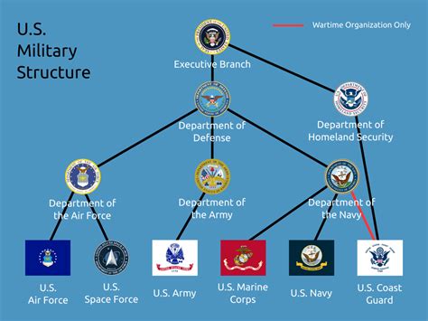 Military Branch Structure