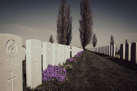 A military cemetery with a bugler playing Taps