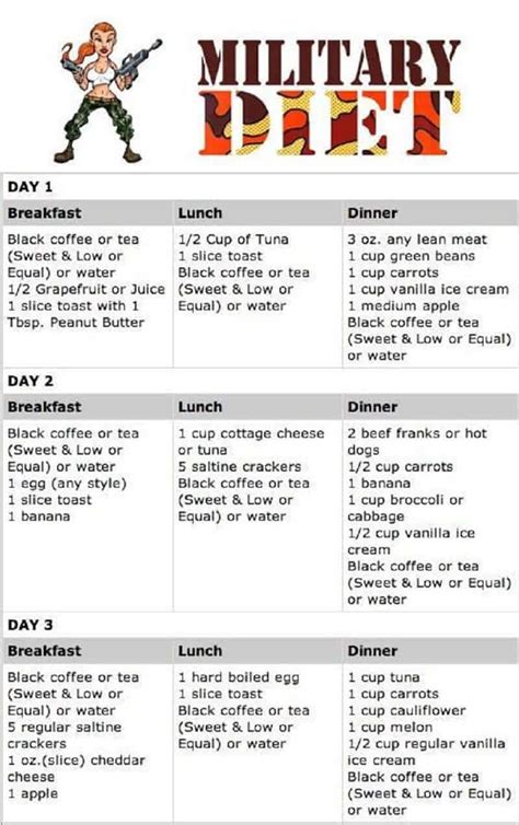 Military Diet Plan