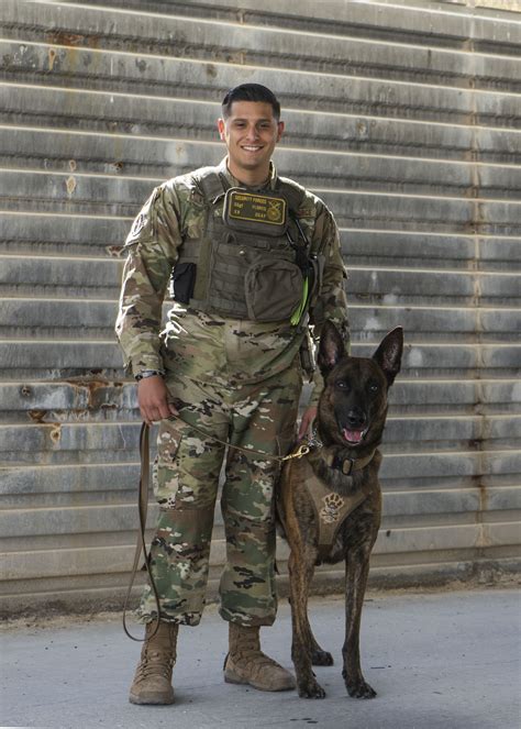 Military Dog Handler and Dog in Training