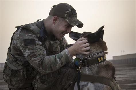 Military Dog Handler Benefits