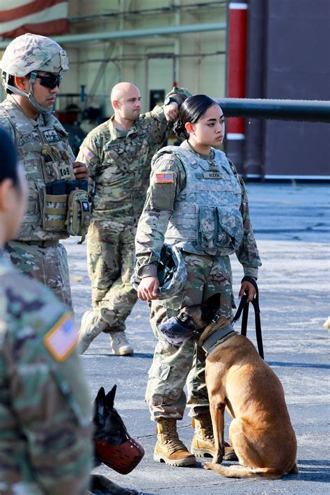 Military Dog Handler and Dog on Deployment