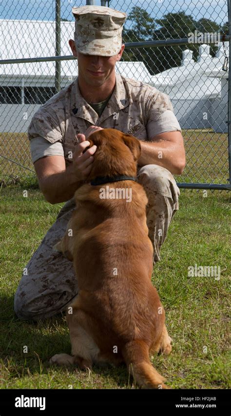 Specialized Search Dog Handler