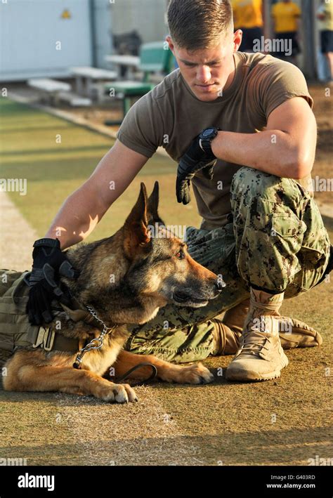 Military Dog Handler in Training