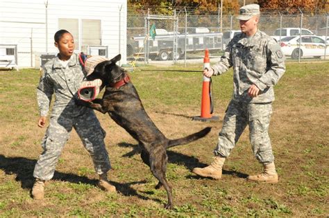 Military Dog Handlers Gallery 1