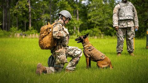 Military Dog Training Facilities