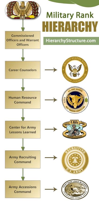 Military Hierarchy Structure