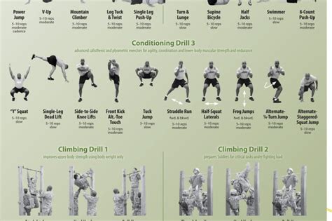 Military PT Exercises