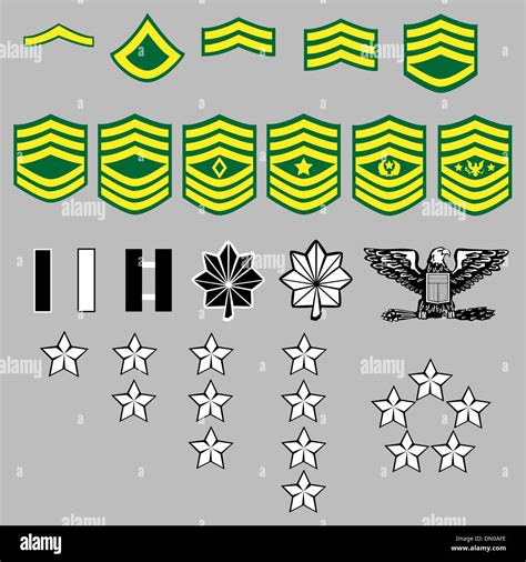 Military Rank Insignia