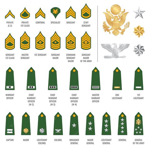 Military Ranks and Structure