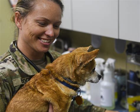 Military Veterinarian Gallery 1