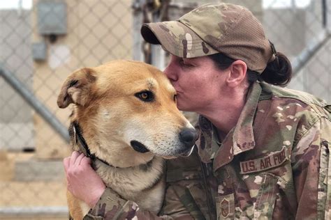 Military Working Dog Adoption Program