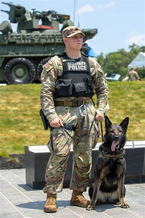 Military Working Dog Photos Gallery