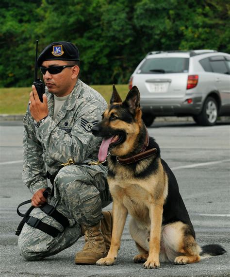 Military Working Dog Team