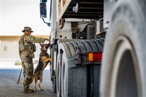 Military Working Dog Team Award