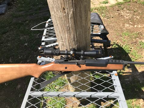 Mini-14 Hunting