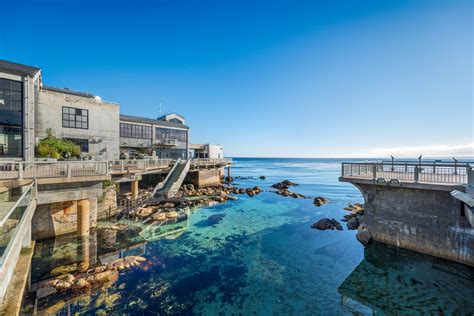 Monterey Bay's Modern-Day Operations