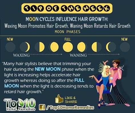 Moon phases haircut guide