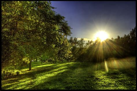 Exposure to natural sunlight in the morning helps regulate the body's circadian rhythms.