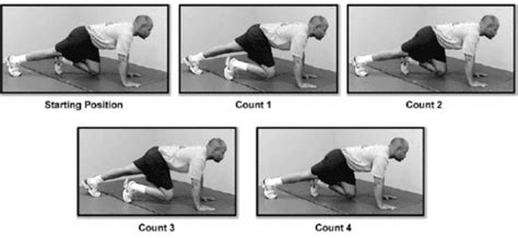 Mountain Climbers for Army Physical Fitness