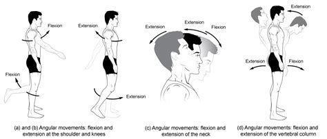 Movement and Positioning