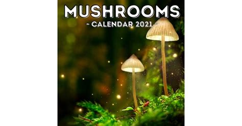 Mushroom calendars introduction