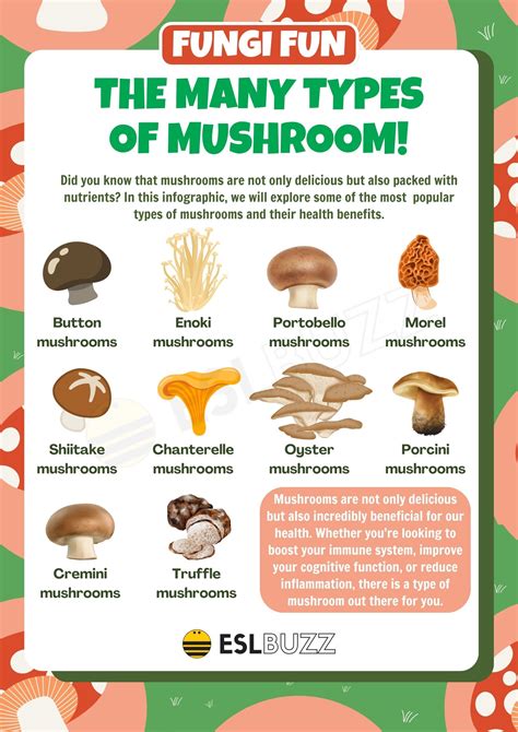 Mushroom Event Types