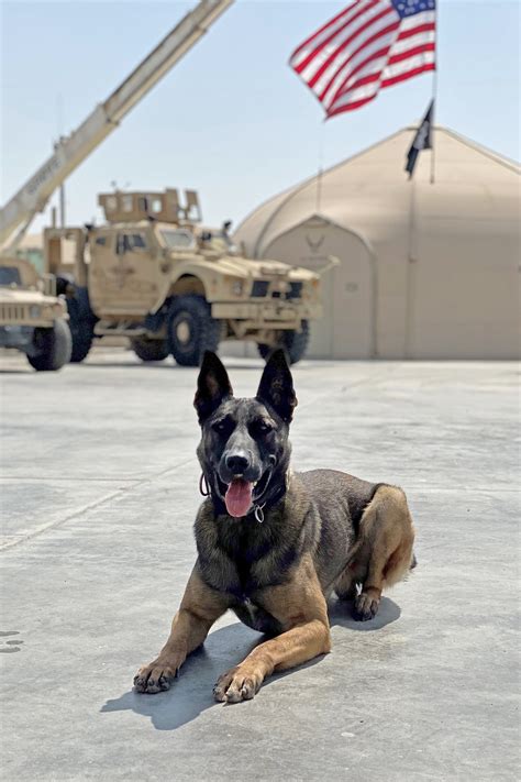 MWD Handler Deployed