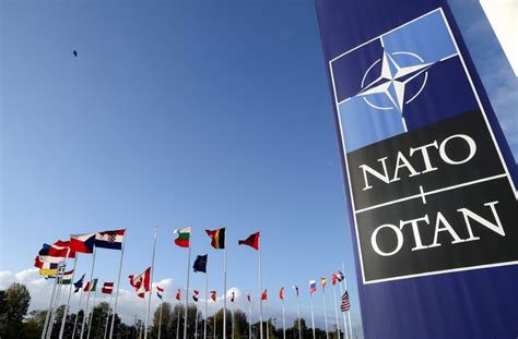 NATO and coalition forces