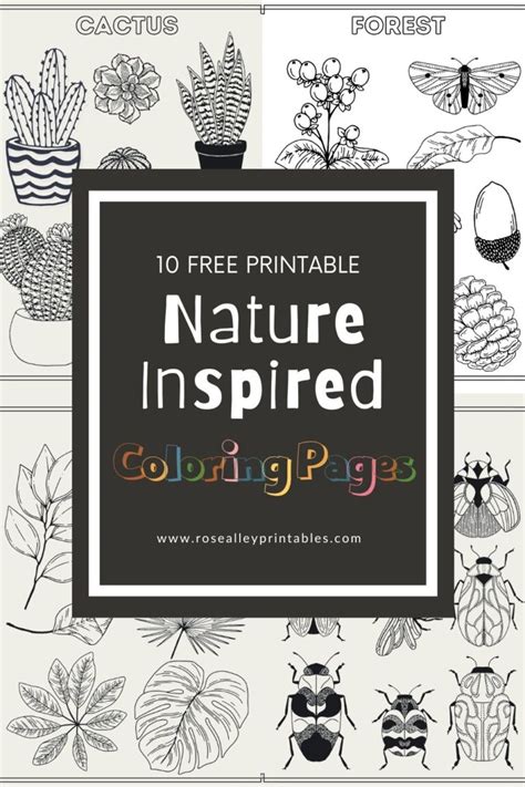 Nature-inspired coloring pages for relaxation