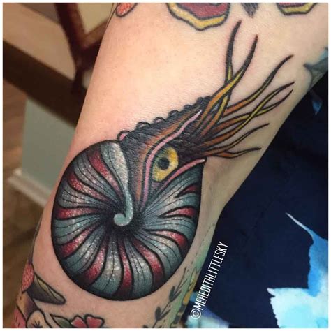 Nautilus shell tattoos