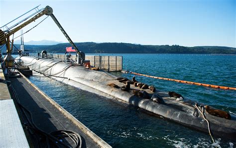 Submarines at Naval Base Kitsap Bangor